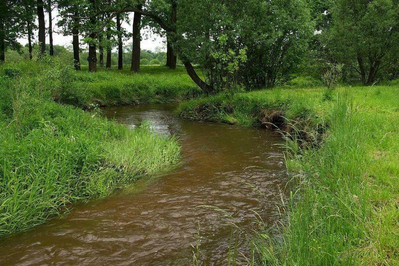 ילנייה גורה Karpnicka Struga W Dolinie Palacow I Ogrodow מראה חיצוני תמונה